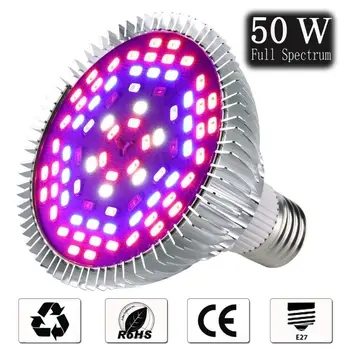 

Full Spectrum Led Grow Light 6W 10W 30W 50W 80W Red Blue UV IR Led Growing Lamp For Hydroponics Flowers Plants Vegetables