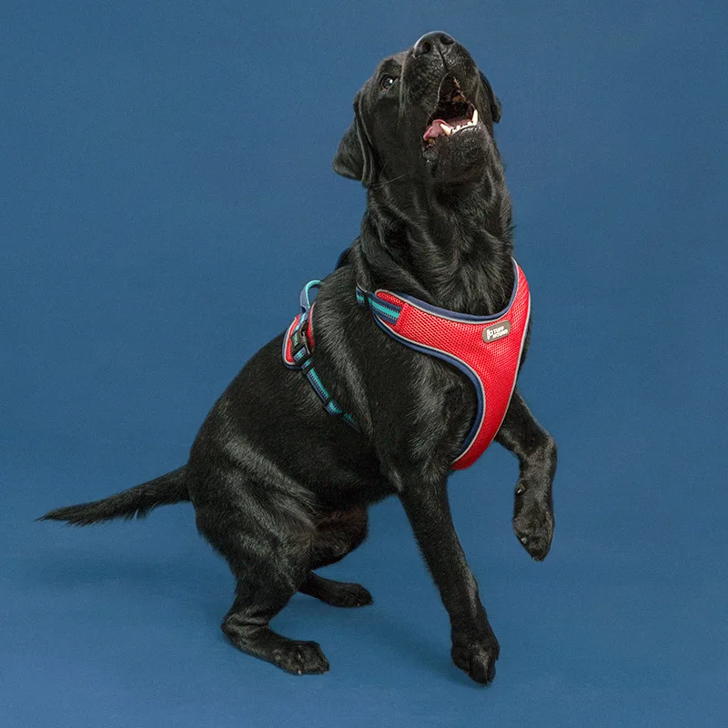 

Dog Harness Hand Holding Rope Dogs Chain Leash Pet Supplies Animal Traction Rope Pet Dog Leash Cat Chest Strap