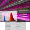 Full Spectrum 100W LED Grow Light Indoor Strip Growth Lamp For Plants Growing Tent Fitolampy Phyto Seed Flower Growth Light Bulb ► Photo 3/6