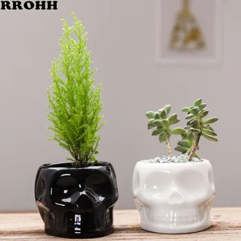 

European Cartoon Character Head Flower Pot Vase Ceramics Creative Micro Landscape Plant Pot Garden Meaty Hydroponics Potted
