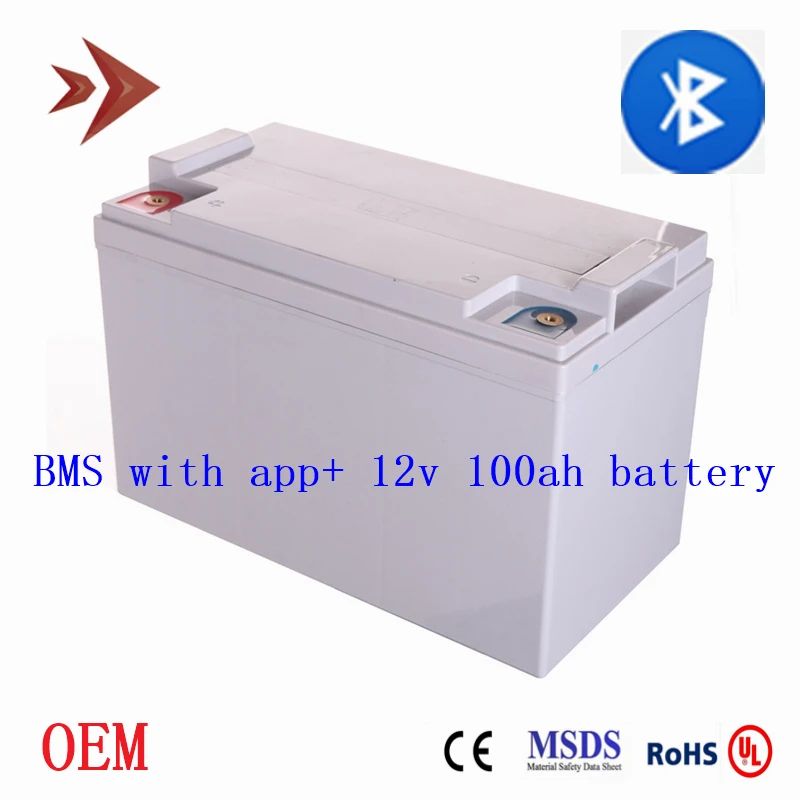 Lifepo4 12V 100Ah Battery Built 4S BMS with Bluetooth Function OEM Deep Cycle Lithium Ion Batteries for RV Camper Motorhouse