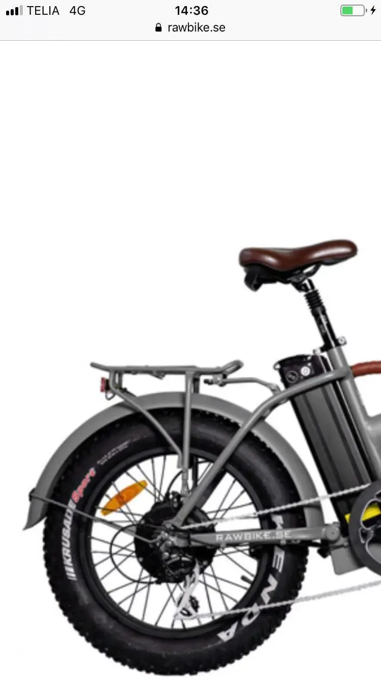 electric bike with carrier
