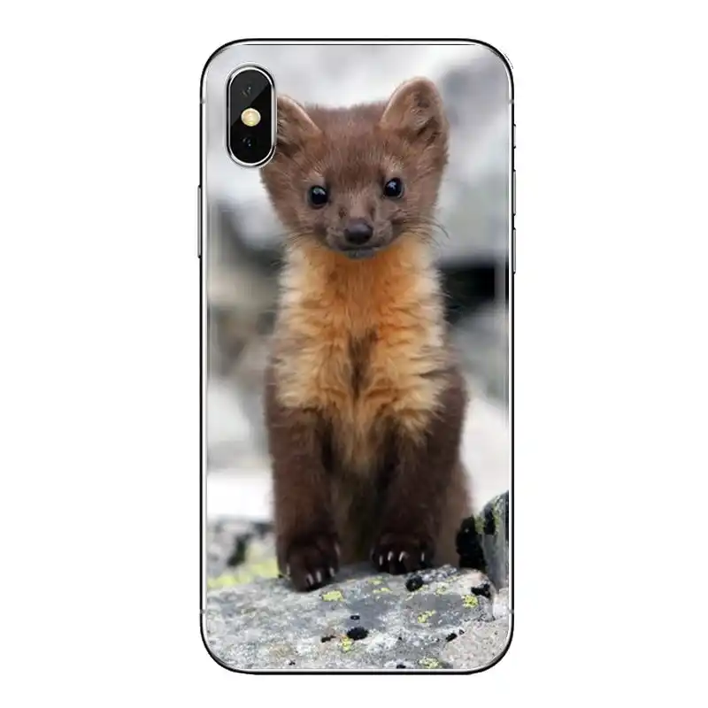 Soft Transparent Shell Covers Ferret For Samsung Galaxy S2 S3 S4