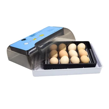 

Home Version Incubation Broodr Newest Best Farm Hatchery Machine Mini 12Eggs Incubator High Quality Cheap Price For Sale
