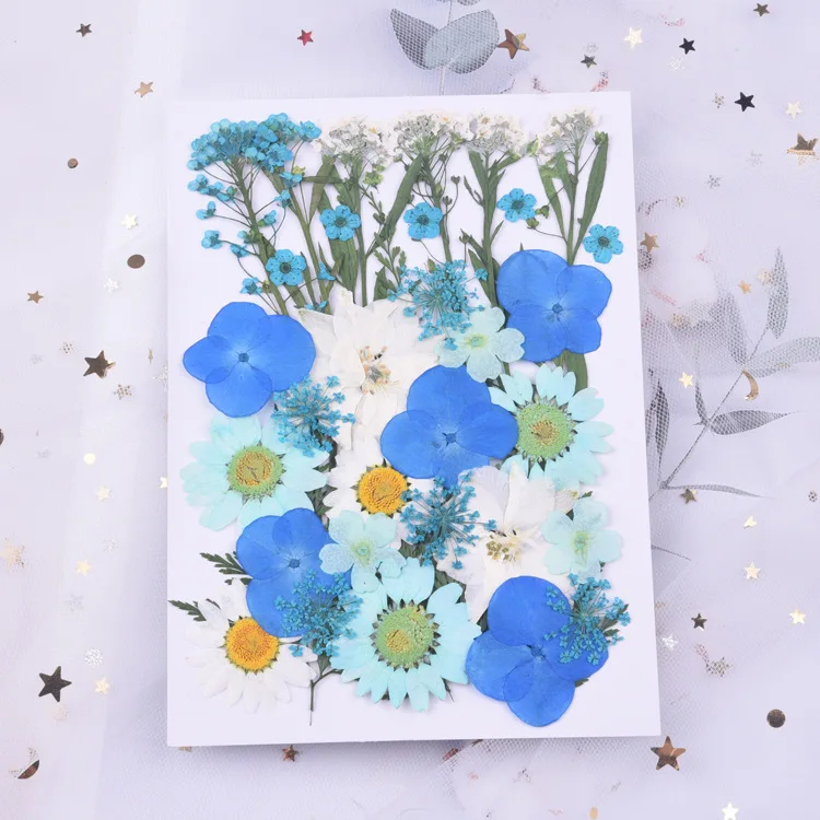 

Blue Dried Flowers for UV Epoxy Resin Jewelry Making Blue Orange Pressed Filling Flowers Scrapbooking Dry Preserved Flower DIY