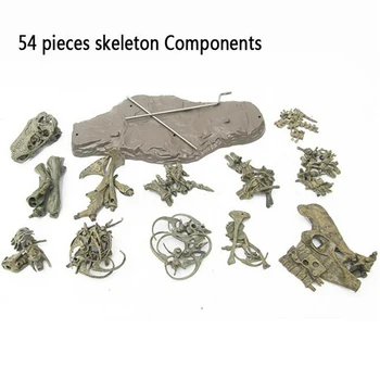 

Educational Collectible Home Decoration Large Non Toxic Simulation Animal Skull Skeleton Fossils Models 3D Figures PVC Gift Toy