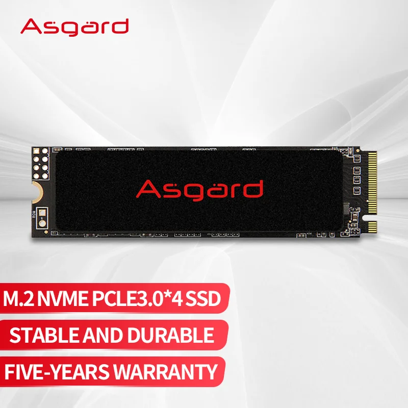 SSD NVME Asgard AN2 500GB