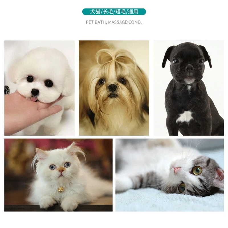 12808394557_559886474