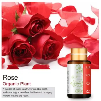

5ml Pure Vegetable Rose Massage Body Essential Oil For Shaving Thermal Therapy SPA Help Sleep Skin Care Essential Oil