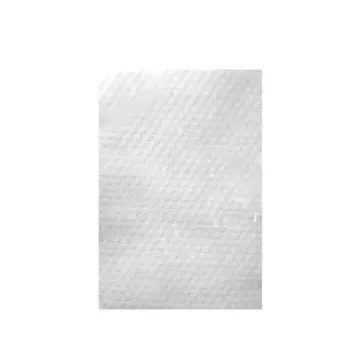 

10/20/50/100Pcs Disposable Non-Woven Mask Pad Breathable Respirator Filter 2XPC