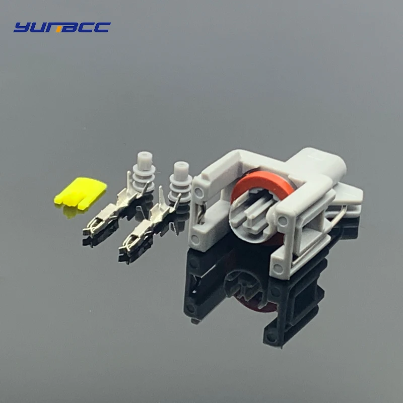 

5 Sets 2 Pin Waterproof Connector For Delphi injector connectors plug 10811963