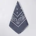 darkgray Bandana