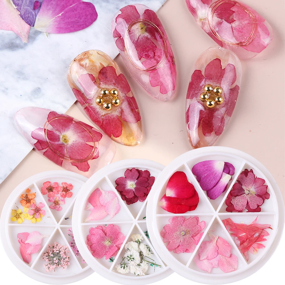 

25Pcs Dried Flowers Nail Art Decals 3D Decoration Real Flower Leaf Slider UV Gel Bloom Petal Manicure Polish Tips Nail Art