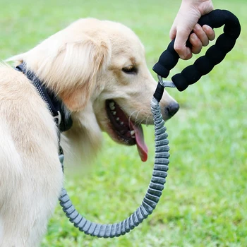 

Dog Leash With Control Handle Nylon Leash Retractable Extension In Elastic Bungee Buffer Dog Running Walking Training Collars1