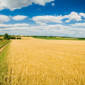 

asdasdasdasdsdasdasdasadsd