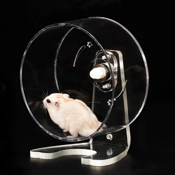 

Hamster Running Wheel Acrylic Transparent Treadmill Wheel Squirrel Chinchilla Rotatable Running Wheel Hedgehog Training Pet Toy