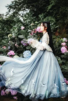 

Hanfu Women Chinese Traditional Embroidery Hanfu Overside Fantasia Female Cosplay Costume Blue Hanfu For Women Plus Size 4XL