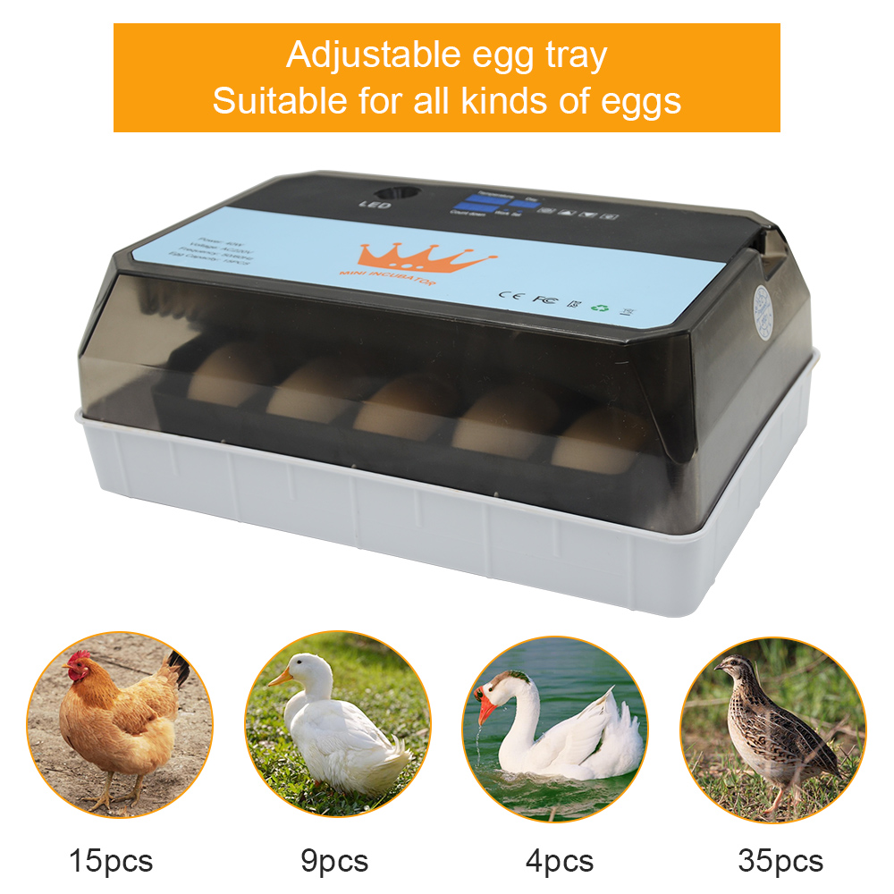 Mini New 15 eggs incubator for Chicken Goose Bird Quail Automatic