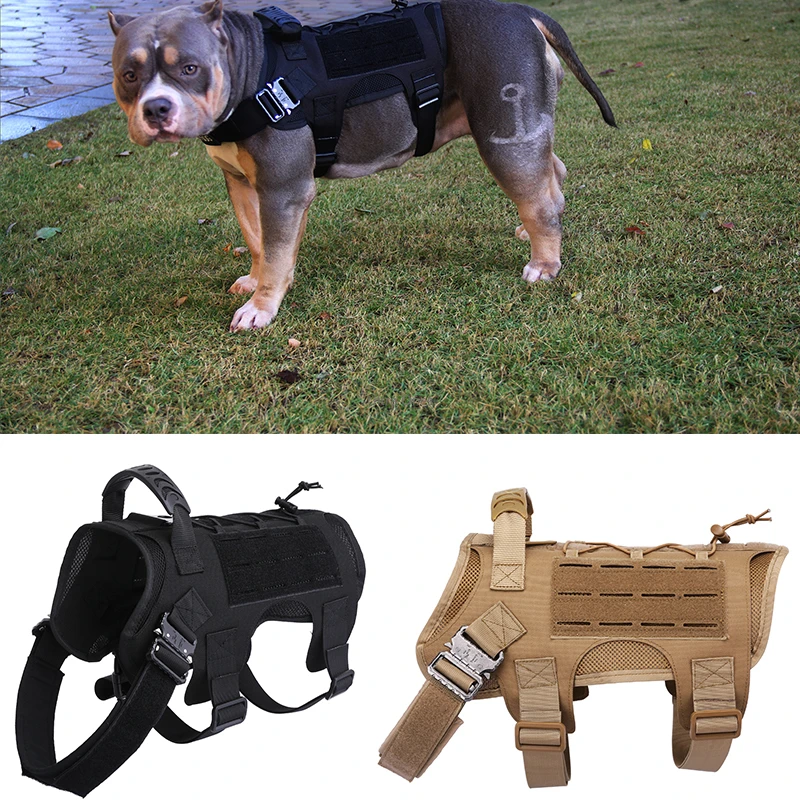 working dog vest
