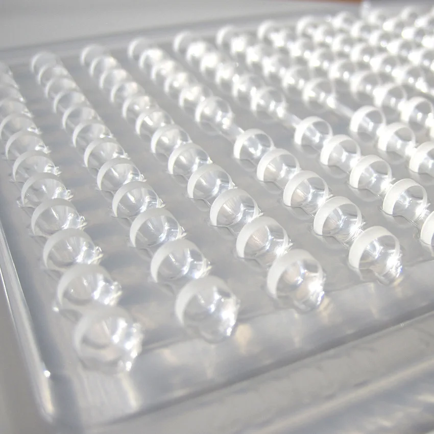 9095825754_2036116367