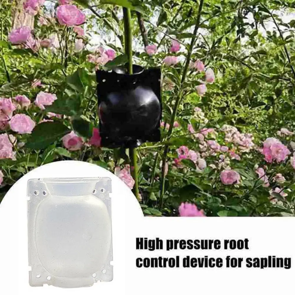 

1pc Transparent Plant Rooting Growth Box PP Plastic Box Gardening High High Propagation Ball Pressure Tool Ball Pressure V1N9