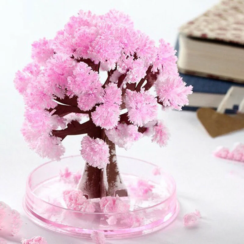 

Magically Experiment Few Hours Magic Growing Paper Tree Cherry Tree Crystal Trees Desktop Cherry Blossom Toys D6