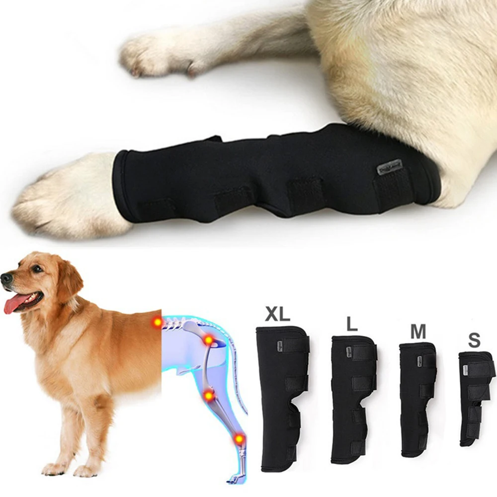 2Pcs lot font b Pet b font Knee Pads Dog Support Brace for Leg Hock Joint