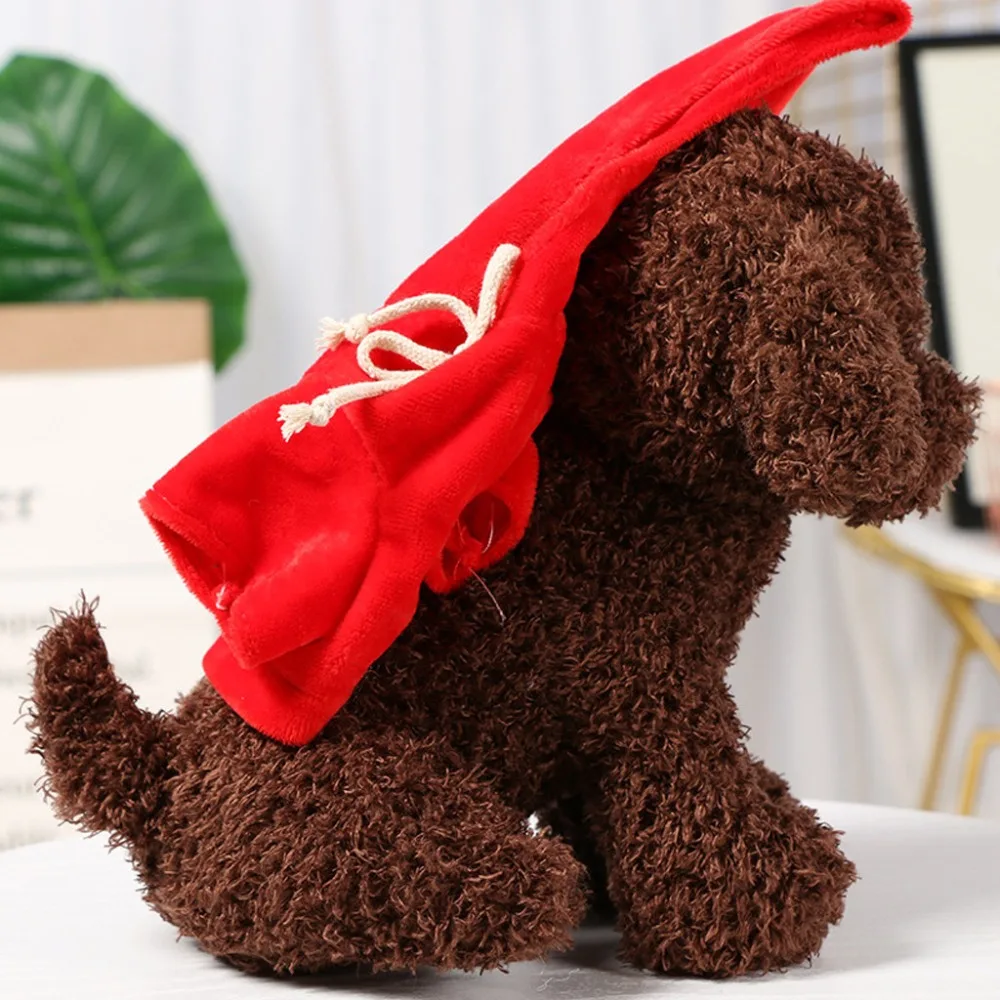 Teddy Dog Rag  (14)