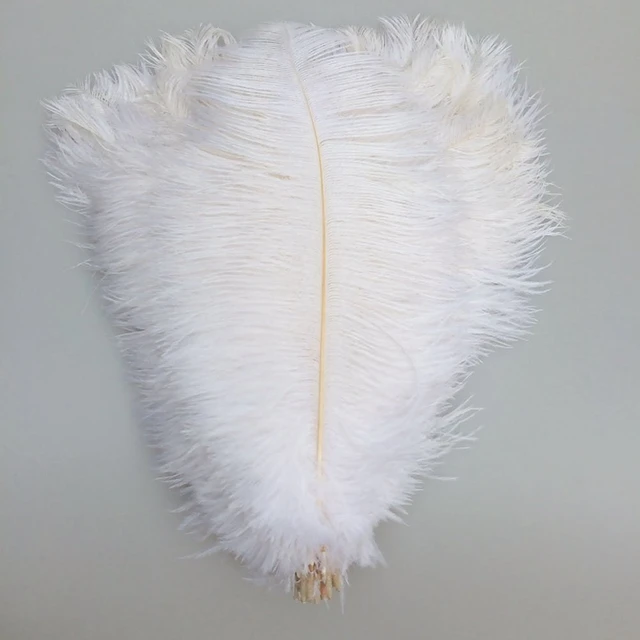 Wholesale 15-70cm Natural White Feathers Ostrich Plumes Diy Large Ostrich  Feathers Party Wedding Feathers For Crafts Decorations - Feather -  AliExpress