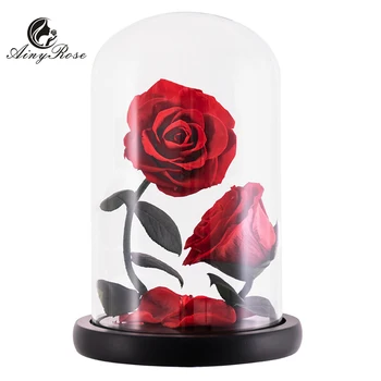 

AINYROSE 2 Heads Eternal Rose In Dome Glass Romance Eternal Life Flower Artificial Flower for Valentine Birthday Wedding Gift
