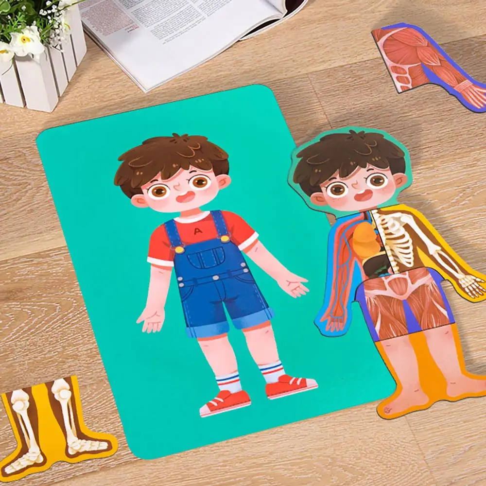 Kid Boby Cognition Toy Set Montessori Human Body Structure Wooden Puzzle Children Biological Toys for 3 Years Old Boys Girls | Игрушки и
