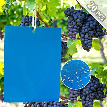 

20PC Sticky Fly Trap Paper Dual-Sided Blue Traps Fruit Flies Insect Glue Catcher Bugs Sticky Boards 2020 NEW ARRIVAL