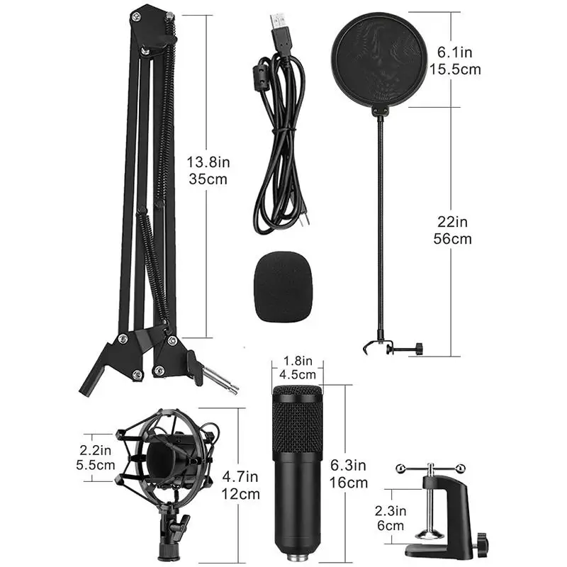 Hot Microphone Vocal Record Singing Studio PC USB