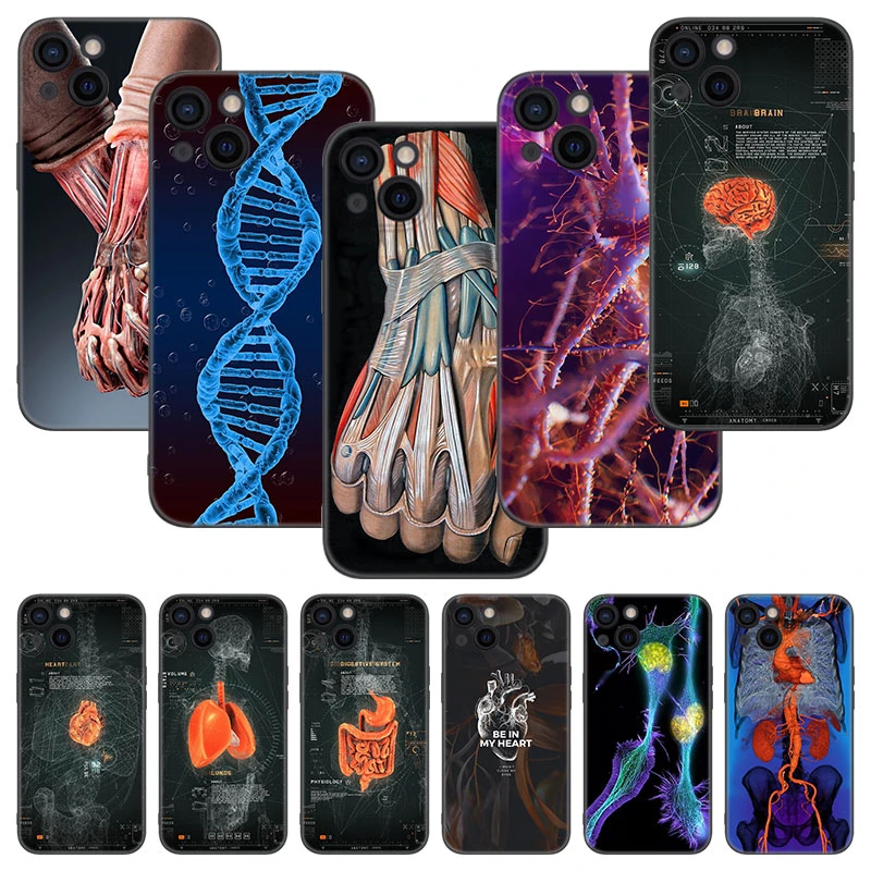 cheap iphone xr cases Human Anatomy Organ Phone Case For Apple iPhone 13 12 Mini 11 Pro XS Max XR X 8 7 6S 6 Plus 5S 5 SE 2020 Soft TPU Black Cover cheap iphone 11 cases