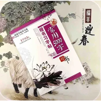 

Chinese Calligraphy Copybook Pen Pencil Practice Book Pin Yin Pinyin Chinese Characters Learning Book 5000 words