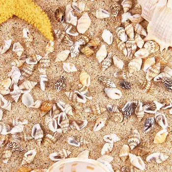 

Over 1300 Pcs Mini Natural Beige ShellConch Beads Seaside Candle Jewelry Making