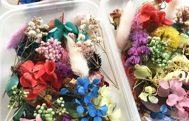 11073771886_1678662750_副本