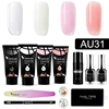 AU31 kit