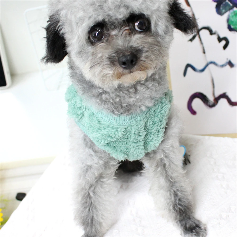 New Winter Warm Clothes for Dogs Simple Solid Color Pet Two-legged Flannel Home Service Soft and Comfortable Puppy Costume |