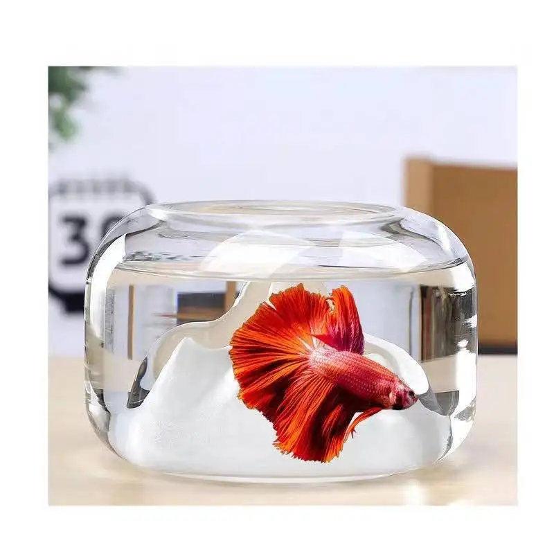 Fish Tank