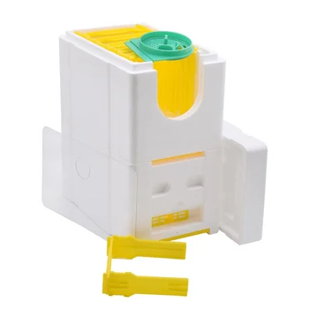 

Beekeeping Box Double-layer Foam Plastic Pollination Durable Automatic Honey Bee Box Beekeeping Gardening Tools Beekeeping Box