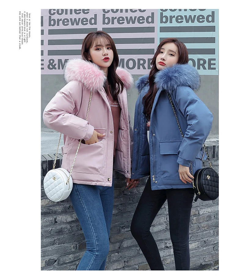 Photo Shoot Autumn And Winter New Style down Jacket Cotton-padded Clothes Women's Fashion Best Friend-Cotton-padded Clothes