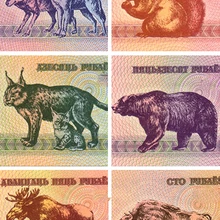 Набор из 6 предметов для сборки в Беларусью Примечания (P1 P4 8) (5 10 25