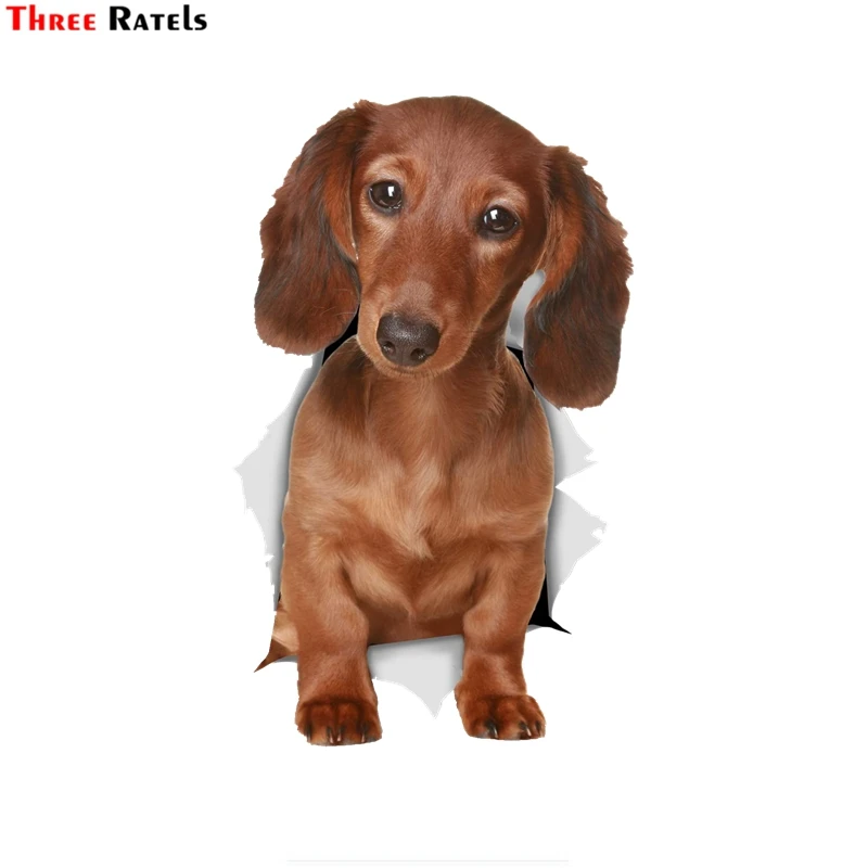 

Three Ratels 1070 3D Long Haired Dachshund SauWall Stickers For Kids Baby Girls Rooms Nursery Home Decor Vinyl Wall Decals Diy