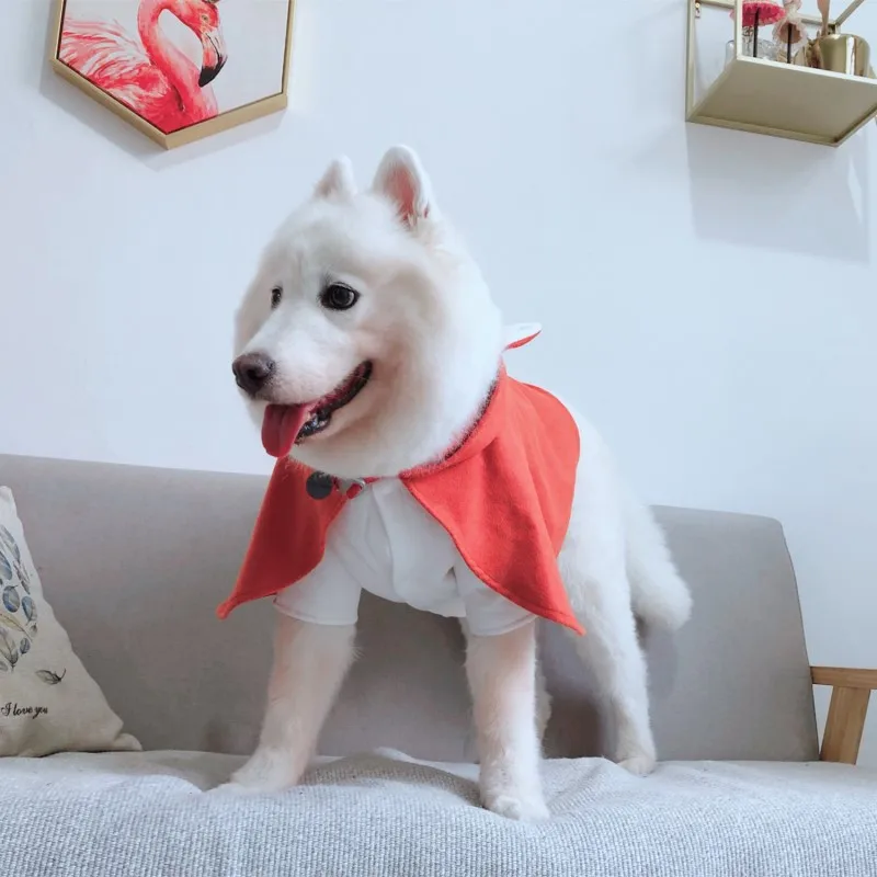 big dog cloak (23)