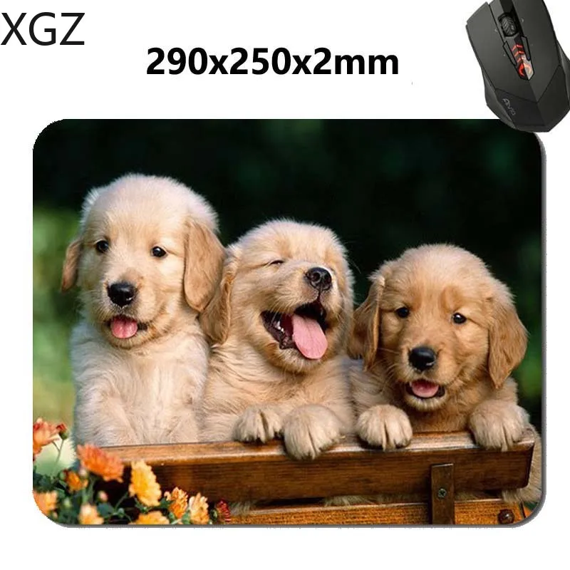 XGZ 동물 고양이 골든 리트리버 강아지 Mousepad, 직사각형 마우스 패드 220*180*2mm 사무용품 및