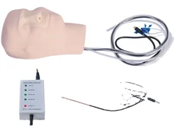 Modelo avanzado de sangrado Nasal, Torso masculino, partes del cuerpo humano, Juguetes