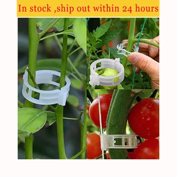 

100pcs Reusable 25mm Plastic Plant Support Clips clamps For Plants Hanging Vine Garden Greenhouse Vegetables Tomatoes Clips