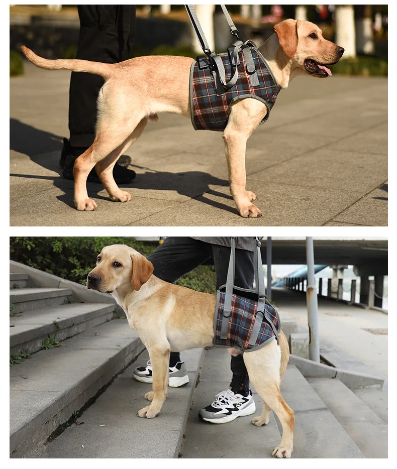 Dog-Rehabilitation-Auxiliary-Strap-Walking-Stand-Dog-Leg-Support-Leg-Disability-Injury-Older-age-pet-Auxiliary (1)