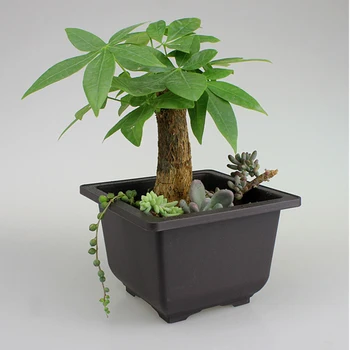 

Flower Pot Imitation Plastic Balcony Square Plastic Pots Bonsai Bowl Nursery Basin Pots Plant Tray With Pallets For Garden Decor